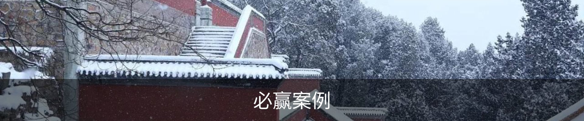 必赢案例